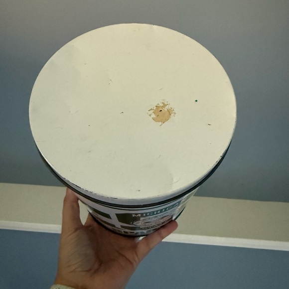 Vintage MSU tin - Picture 2 of 5